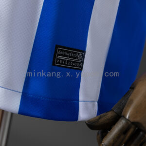 Camiseta Brighton & Hove Albion 2024 Local - detalle del escudo del club y logo Nike