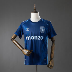 Camiseta Coventry City 2023/24 Tercera - detalle escudo