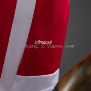 Camiseta Southampton 2015/16 Retro Local - detalle escudo