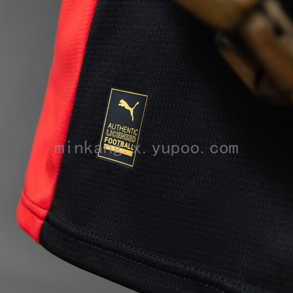 Camiseta Southampton 2017/18 Tercera - detalle escudo