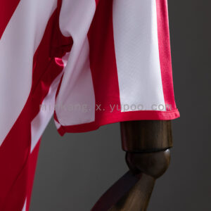 Camiseta Sunderland 1995 Retro Local - detalle escudo