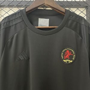 Camiseta Aston Villa 2023/24 Aniversario - detalle escudo