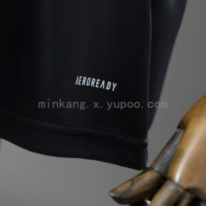 Camiseta Aston Villa 2024/25 Visita - detalle escudo y logos