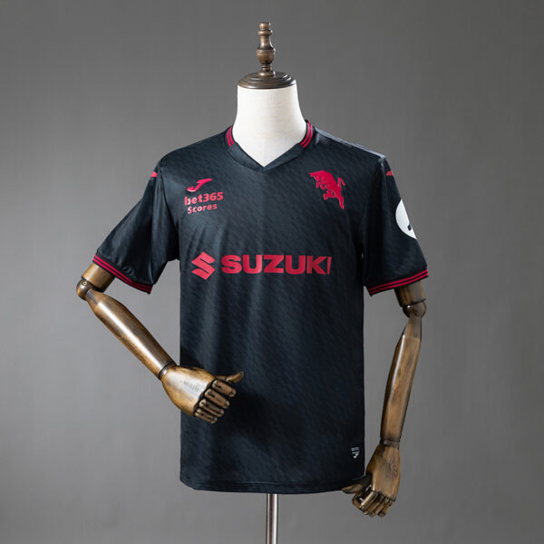 Camiseta Torino 2024/25 Tercera - vista frontal completa