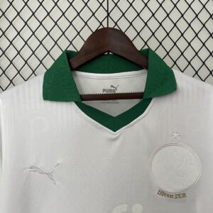 Camiseta Palmeiras 2023/24 Edición Especial — detalle