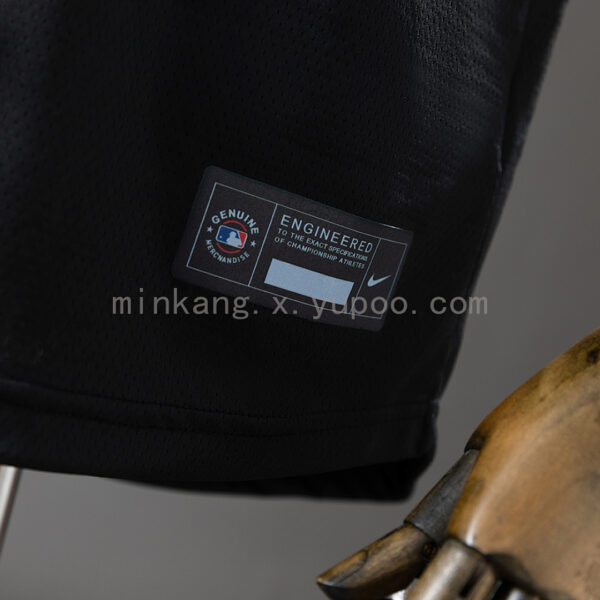 Camiseta Paris FC 2023 Edición Especial - detalle