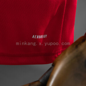 Camiseta Flamengo Edición Especial Retro — detalle del escudo y logo Adidas