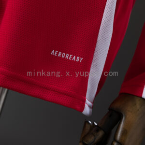 Camiseta Sport Club Internacional 2024/25 Local Manga Larga — detalle del escudo