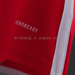 Camiseta Internacional 2024/25 Local — detalle escudo