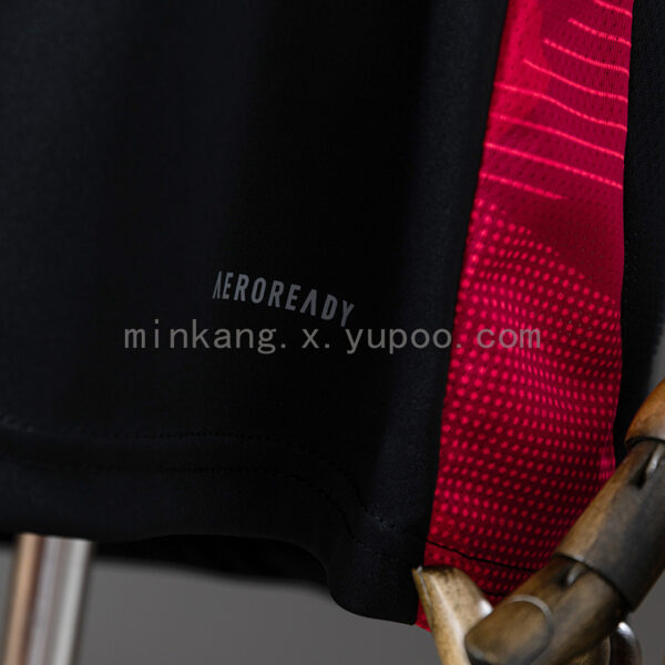 Camiseta Internacional 2024/25 Entrenamiento — detalle escudo