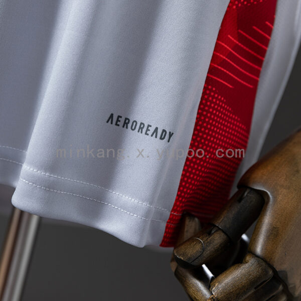 Camiseta Internacional 2024 Entrenamiento — detalle escudo