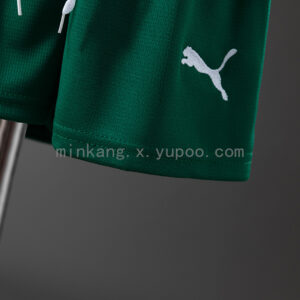 Camiseta Palmeiras 2023/24 Visita — detalle escudo