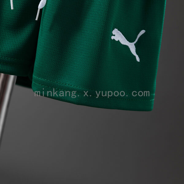 Camiseta Palmeiras 2023/24 Visita — detalle escudo