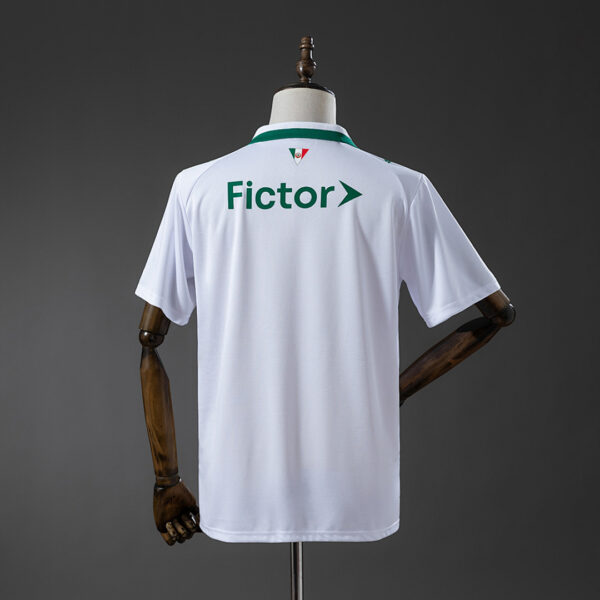 Camiseta Palmeiras 2024/25 Visita — vista trasera