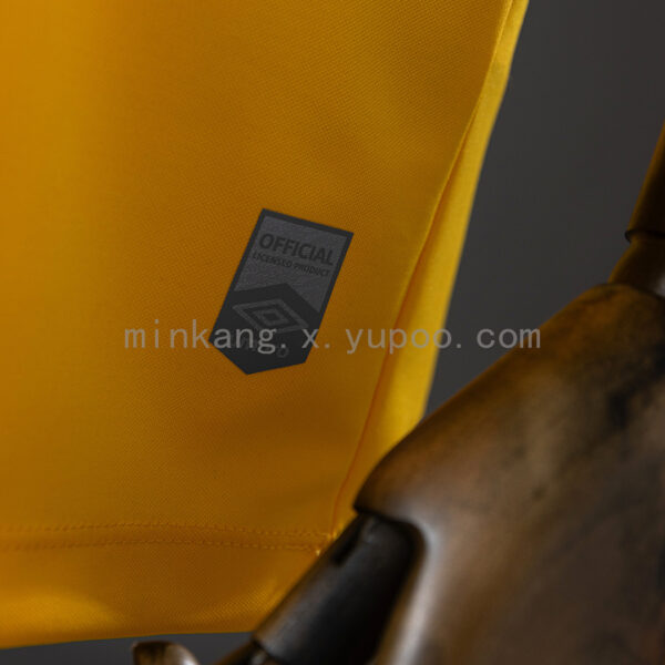 Camiseta Sport Recife 2024 Visita — detalle escudo