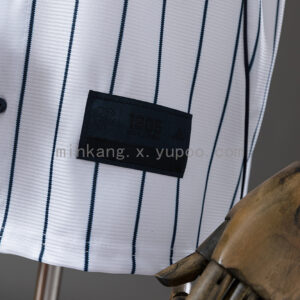 Camiseta Boca Juniors 2024 Edición Especial Pinstripe CABJ - vista frontal