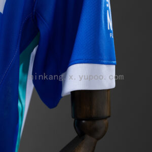 Camiseta Brighton & Hove Albion 2024 Local - vista frontal superior con cuello en V