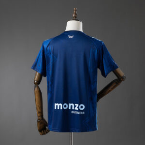 Camiseta Coventry City 2023/24 Tercera - vista trasera