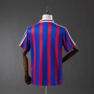 Camiseta Crystal Palace 1991/92 Retro Local - vista trasera