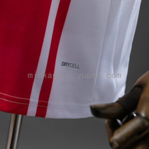 Camiseta Southampton 2022/23 Local - vista trasera