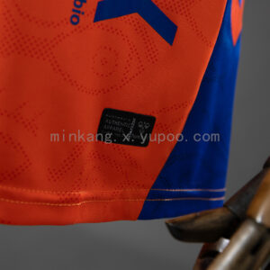 Camiseta Málaga CF 2023/24 Tercera — detalle cuello y nuca