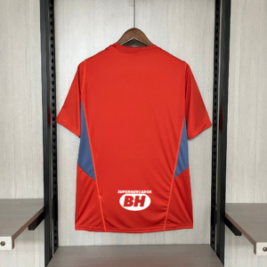 Camiseta Cruzeiro 2024 Entrenamiento — detalle logo Adidas