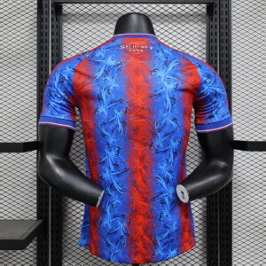 Camiseta Crystal Palace 2023/24 Local - vista trasera