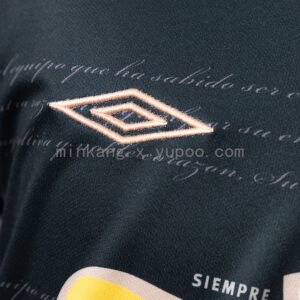 Camiseta Colo Colo 2011 Visita Retro - detalle