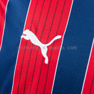 Camiseta Esporte Clube Bahia 2024 Visita — vista trasera