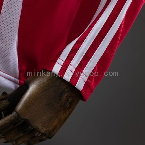 Camiseta Sport Club Internacional 2024/25 Local Manga Larga — vista trasera