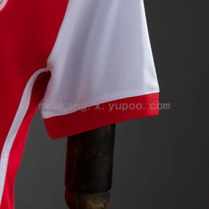 Camiseta Internacional 2024/25 Local — vista trasera