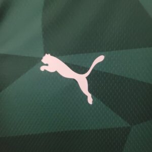 Camiseta Palmeiras 2024 Local — detalle manga