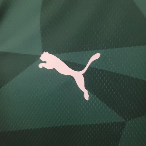 Camiseta Palmeiras 2024 Local — detalle manga
