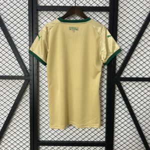 Camiseta Palmeiras 2024 Tercera — vista trasera