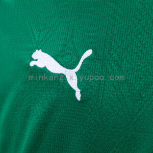 Camiseta Palmeiras 2023/24 Local — vista trasera