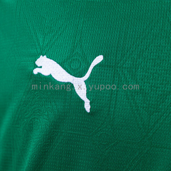 Camiseta Palmeiras 2023/24 Local — vista trasera
