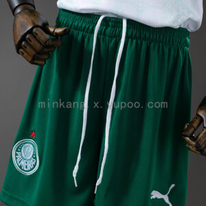 Camiseta Palmeiras 2023/24 Visita — vista trasera