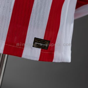 Camiseta Atletico Madrid 2024/25 Local Manga Larga — detalle