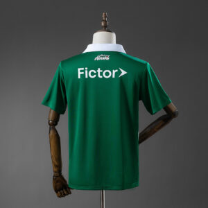 Camiseta Palmeiras 2024 Edición Especial — vista trasera