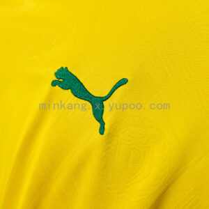 Camiseta Palmeiras 2024/25 Tercera — vista trasera
