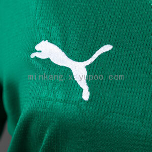 Camiseta Palmeiras 2023/24 Local Mujer — vista trasera