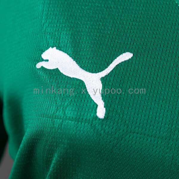 Camiseta Palmeiras 2023/24 Local Mujer — vista trasera
