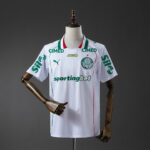 Camiseta Palmeiras 2023/24 Visita — vista frontal