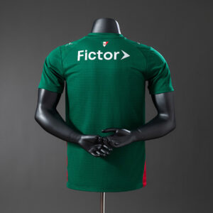 Camiseta Palmeiras 2024 Local — vista trasera