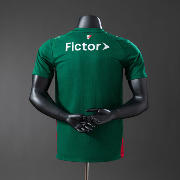 Camiseta Palmeiras 2024 Local — vista trasera