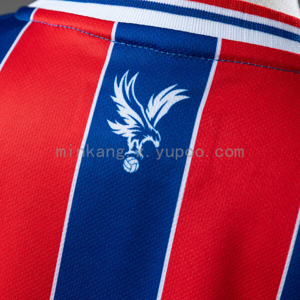 Camiseta Crystal Palace 2023/24 Local - detalle