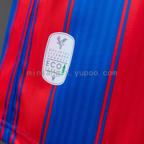 Camiseta Crystal Palace 2023/24 Local - detalle