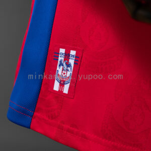 Camiseta Crystal Palace 1990/91 Retro Local - detalle cuello en V con franjas