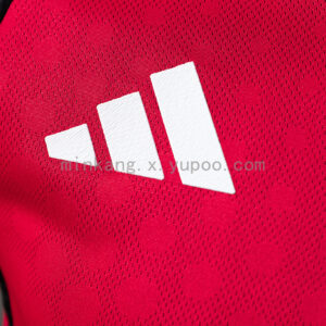 Camiseta Manchester United 2023/24 Local Versión Jugador Manga Larga - detalle