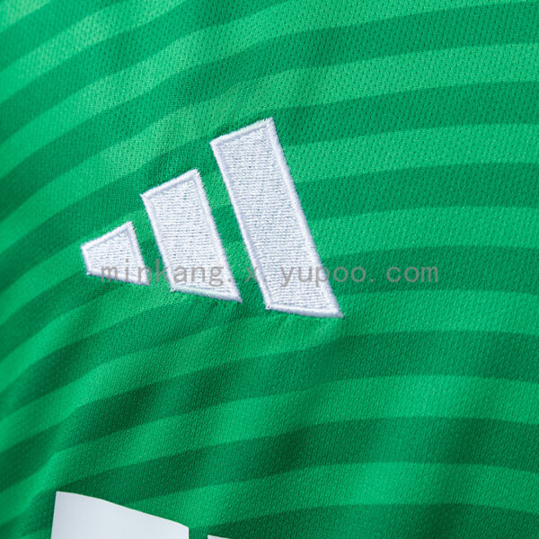 Camiseta Newcastle United 2023/24 Visita - detalle